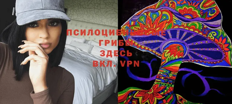 Псилоцибиновые грибы Psilocybine cubensis  MEGA зеркало  Тихвин 